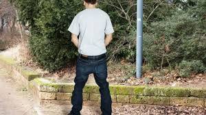 Pouze ilustrační foto img